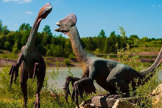 two-gray-dinasours-in-nature